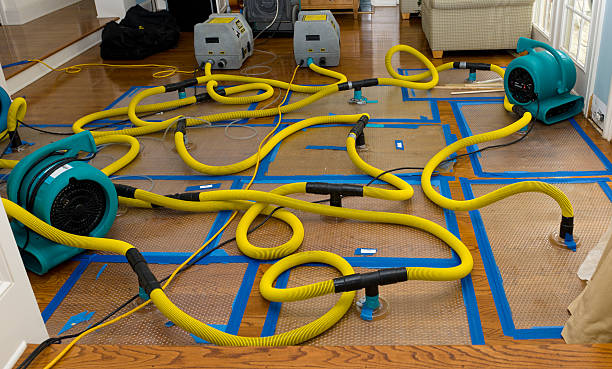 Professional Crawl Space Water Removal technician working in Gilman, IA